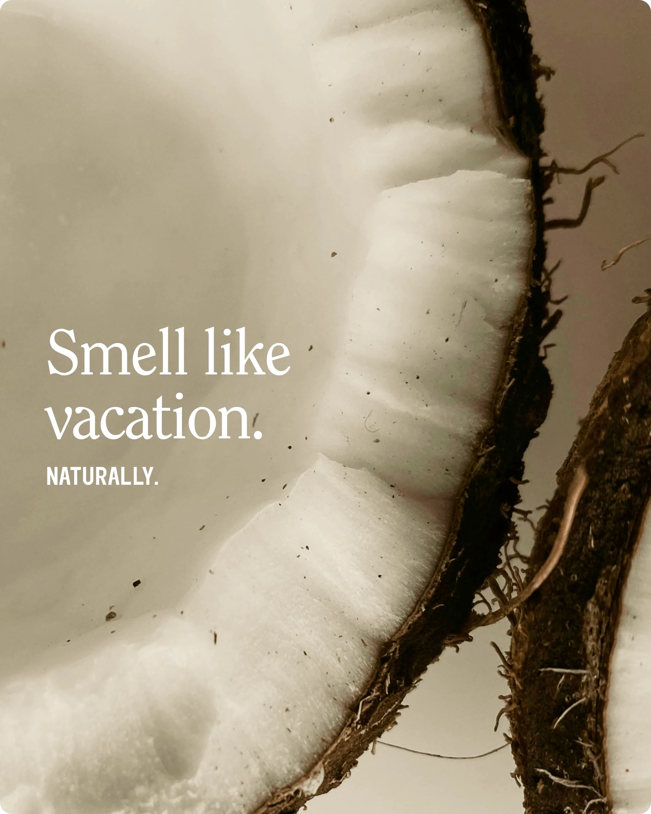 Half a coconut with the words Smell like vacation
